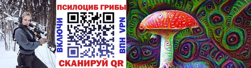 Купить где  Ермолино  Галлюциногенные грибы GOLDEN TEACHER 